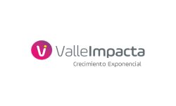 logo valleimpacta (2)